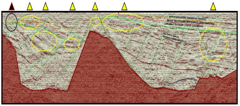 Linha sísmica reorientada cruzando sete anomalias geoquímicas identificadas pela AGI no Bloco L19, Quênia — ilustração técnica da integração entre resposta geoquímica de superfície e dado sísmico